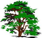 Evansville Tree Service Logo