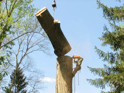 Tree removal service using a crane